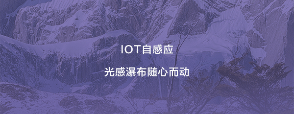 全发国际(中国)有限公司官网